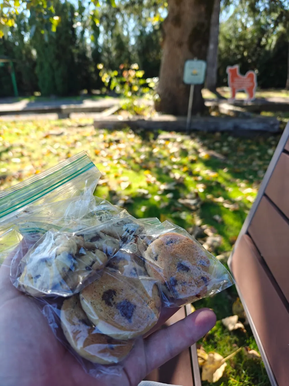 Free homemade cookies at Elma RV park!