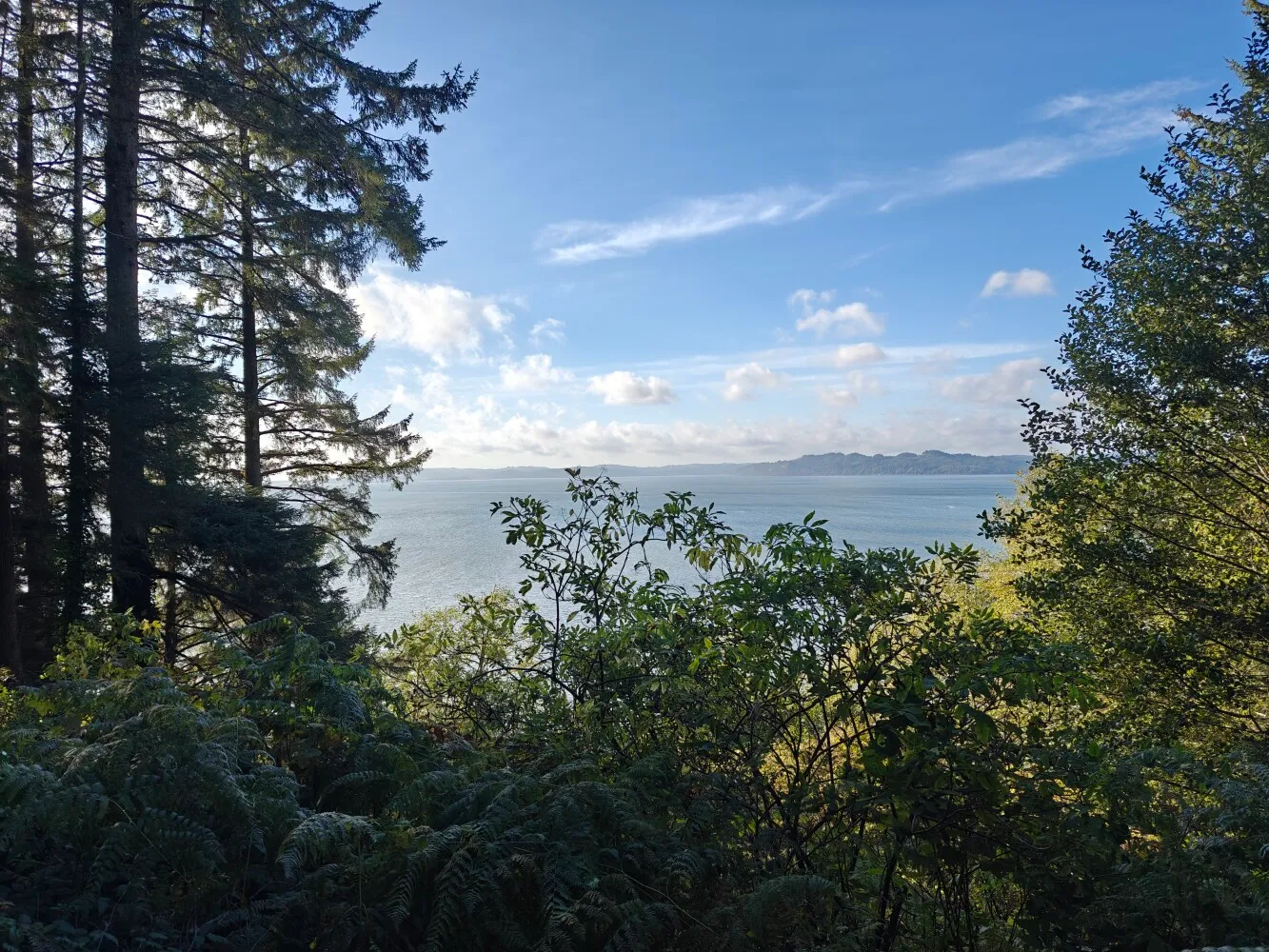 Views near camp