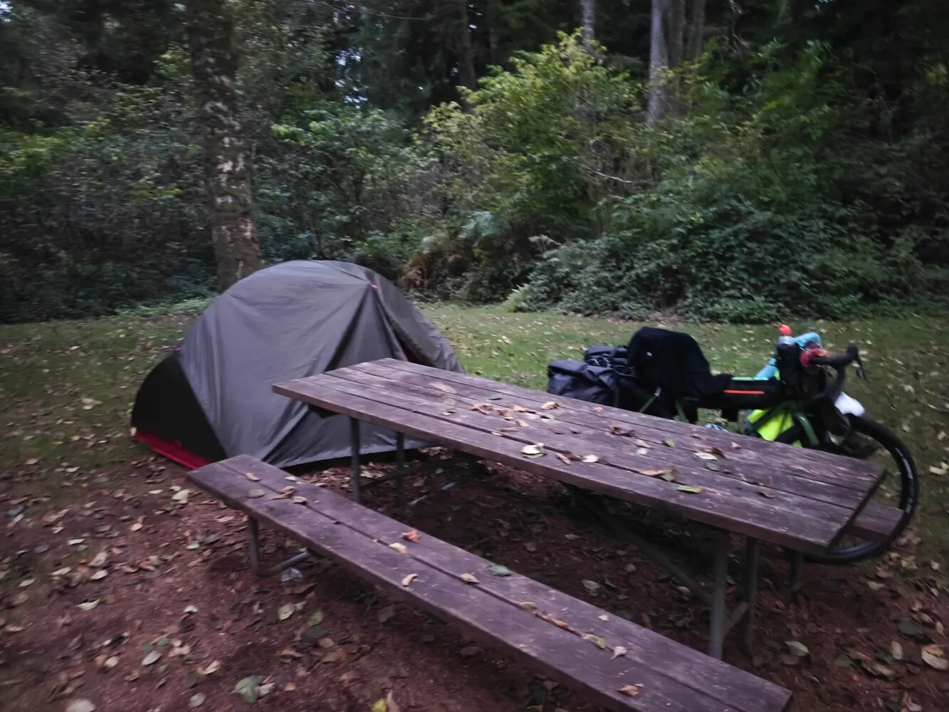 Camp for tonight