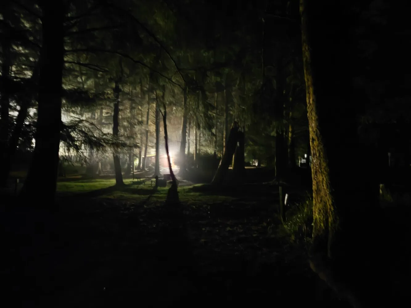 Creepy night time views from the tent