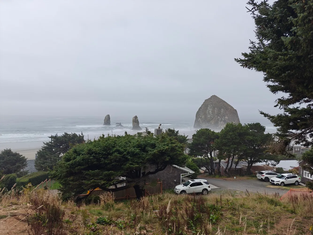 Views of Oregon coast
