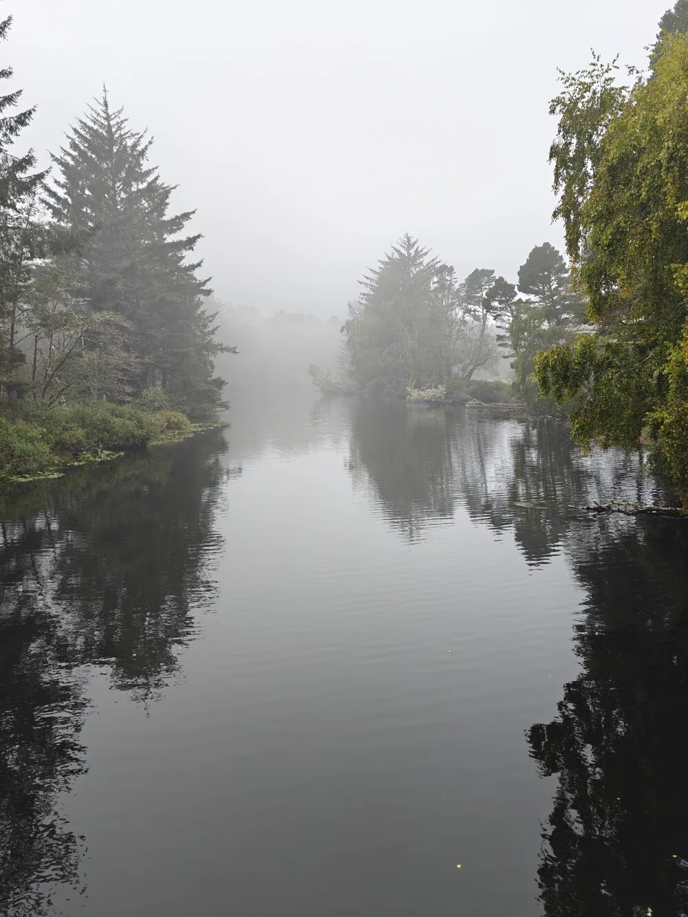 Misty morning