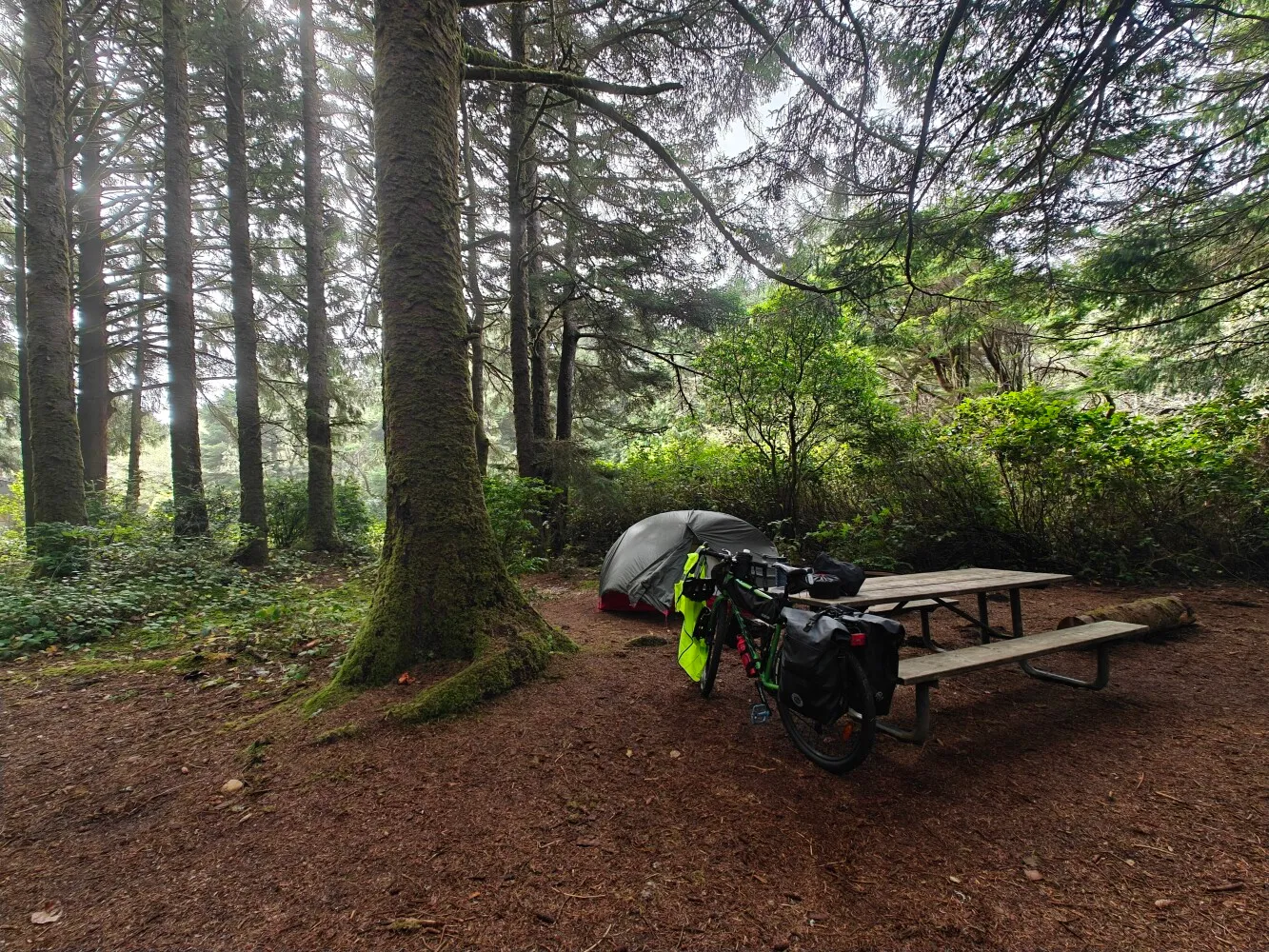 Camp for tonight