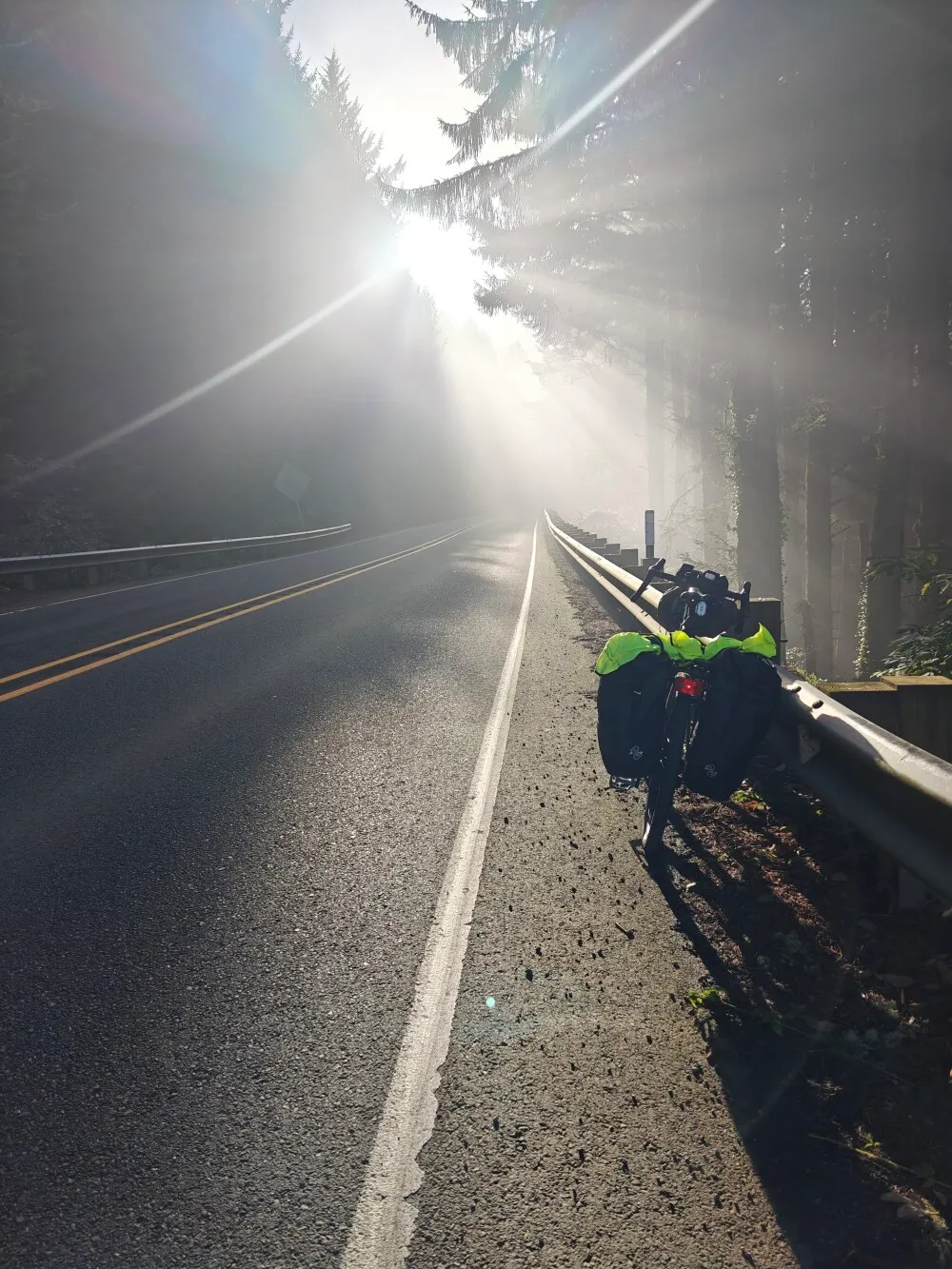 Morning misty view