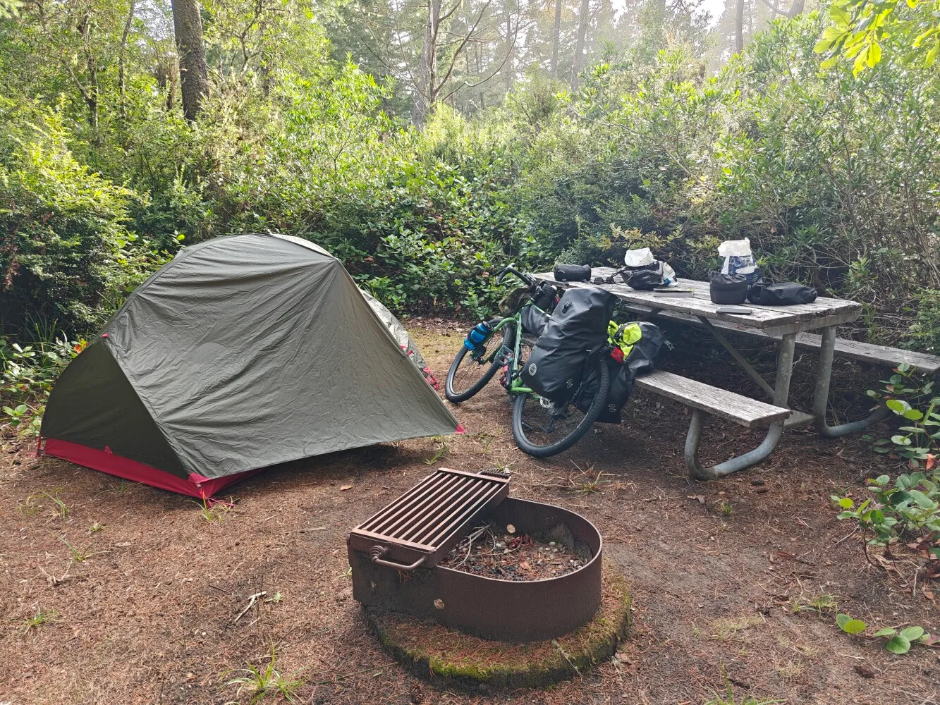 Camp