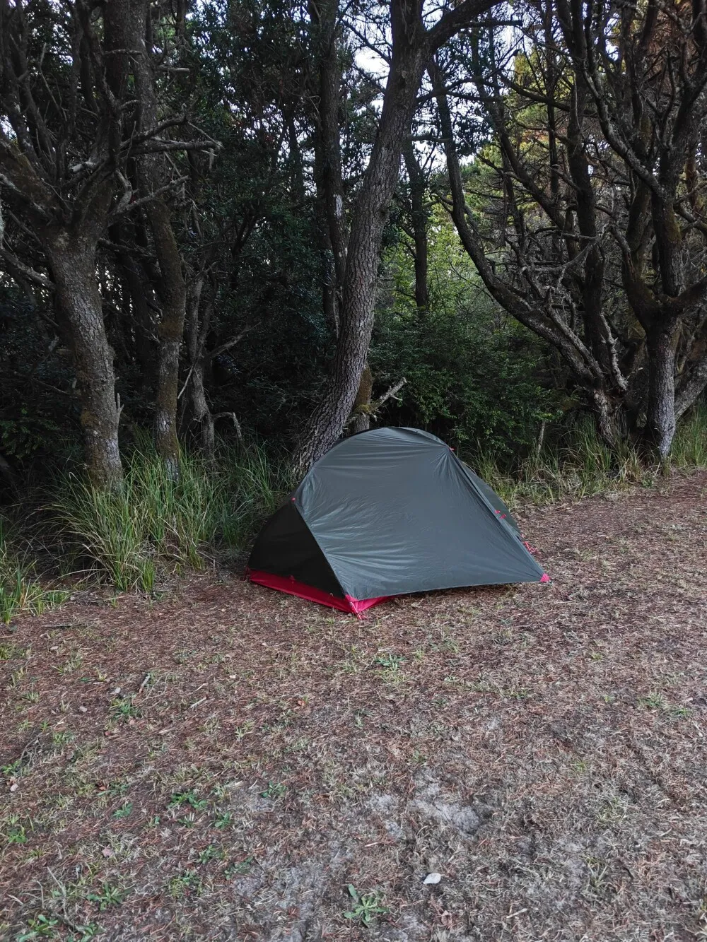 Camp for tonight