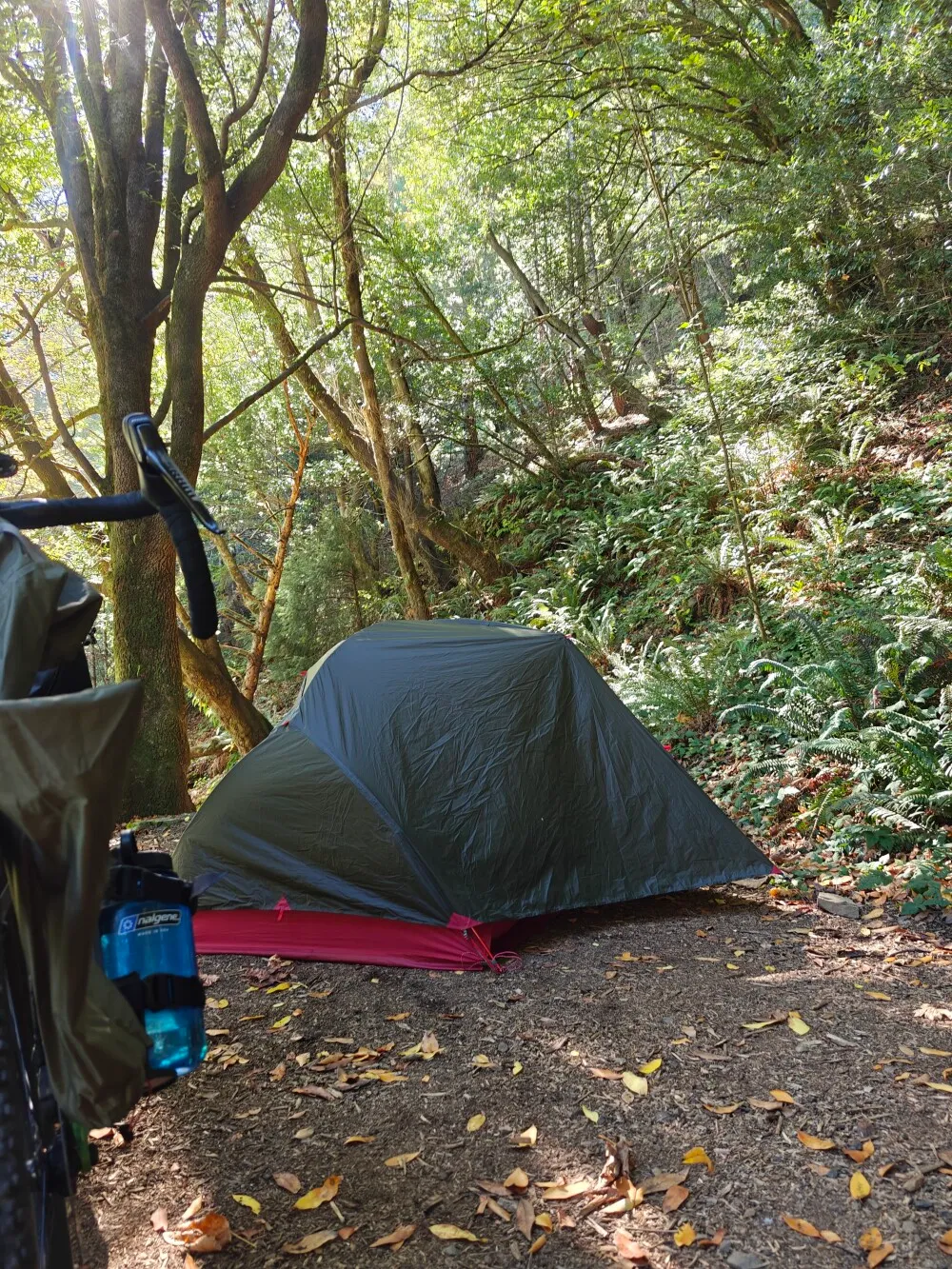 Tonight's camp