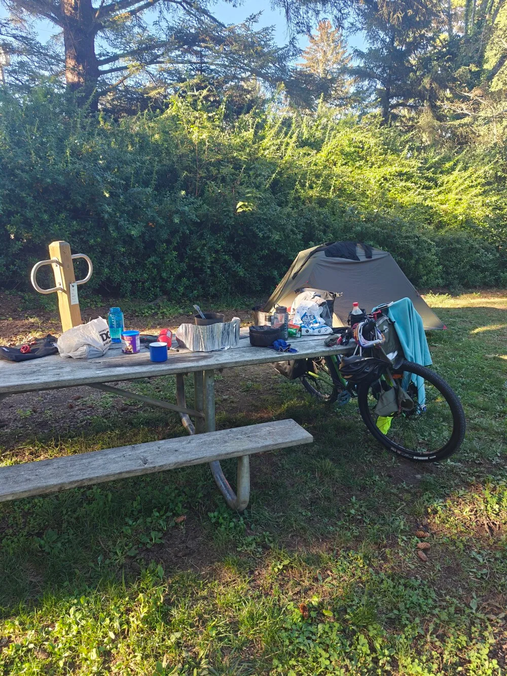 Camp