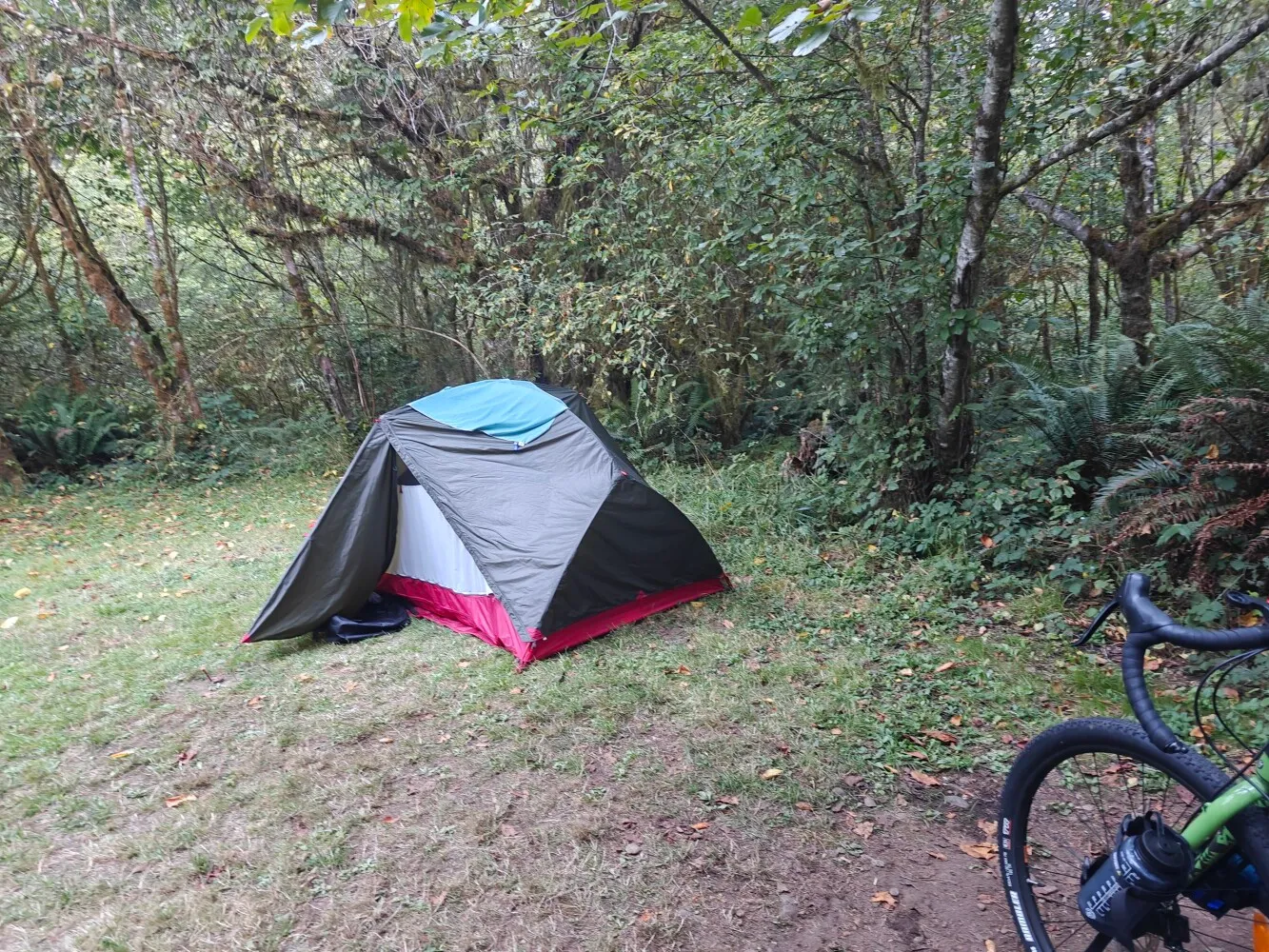 Camp for tonight