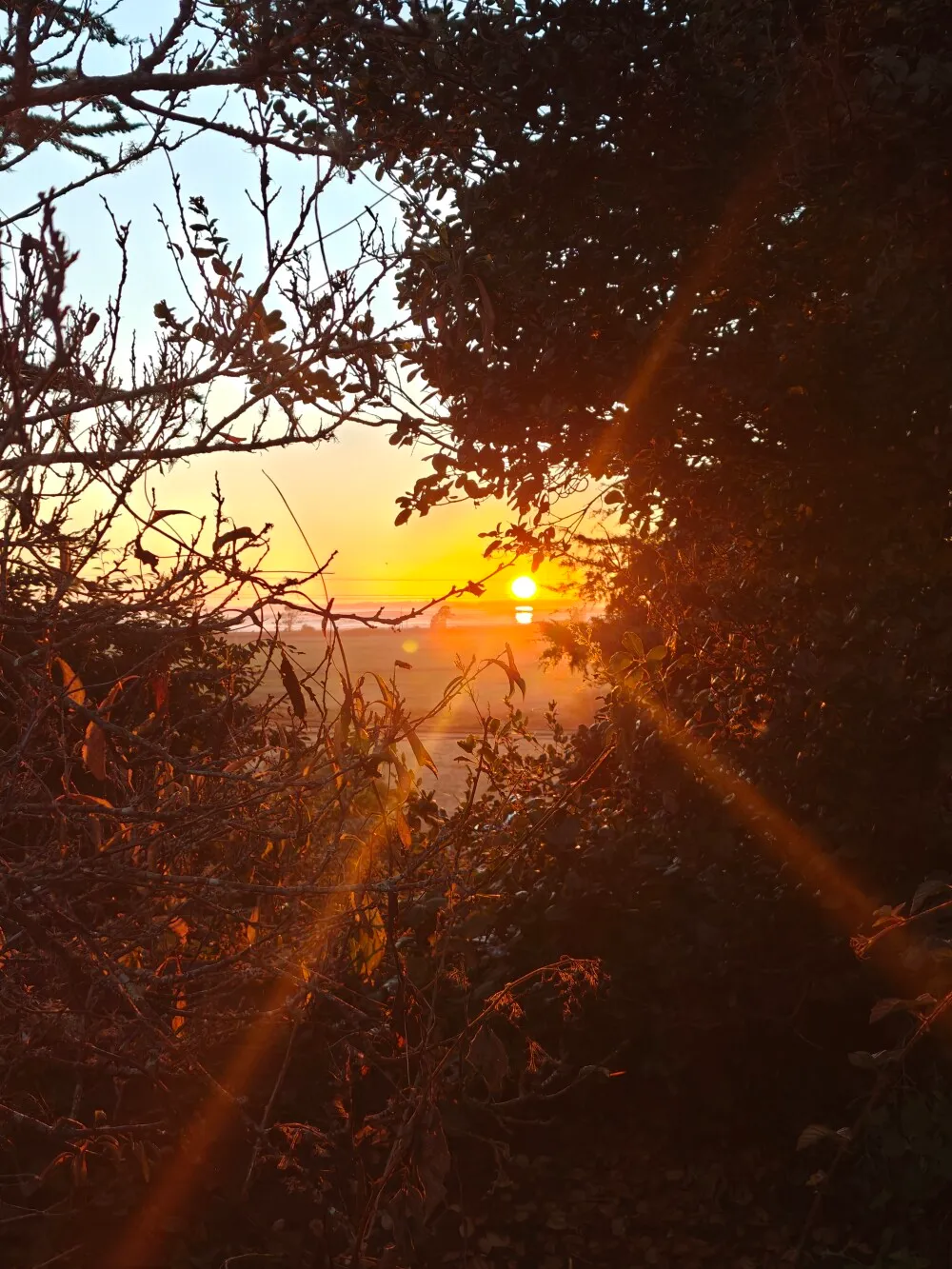 sunset