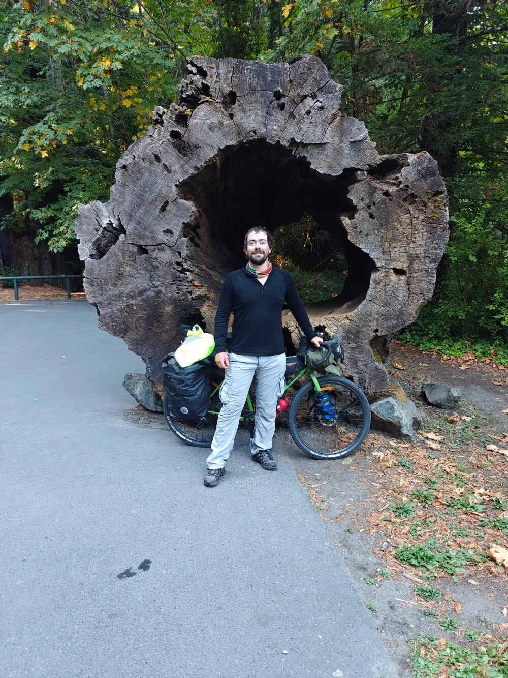 Trees are big here I guess