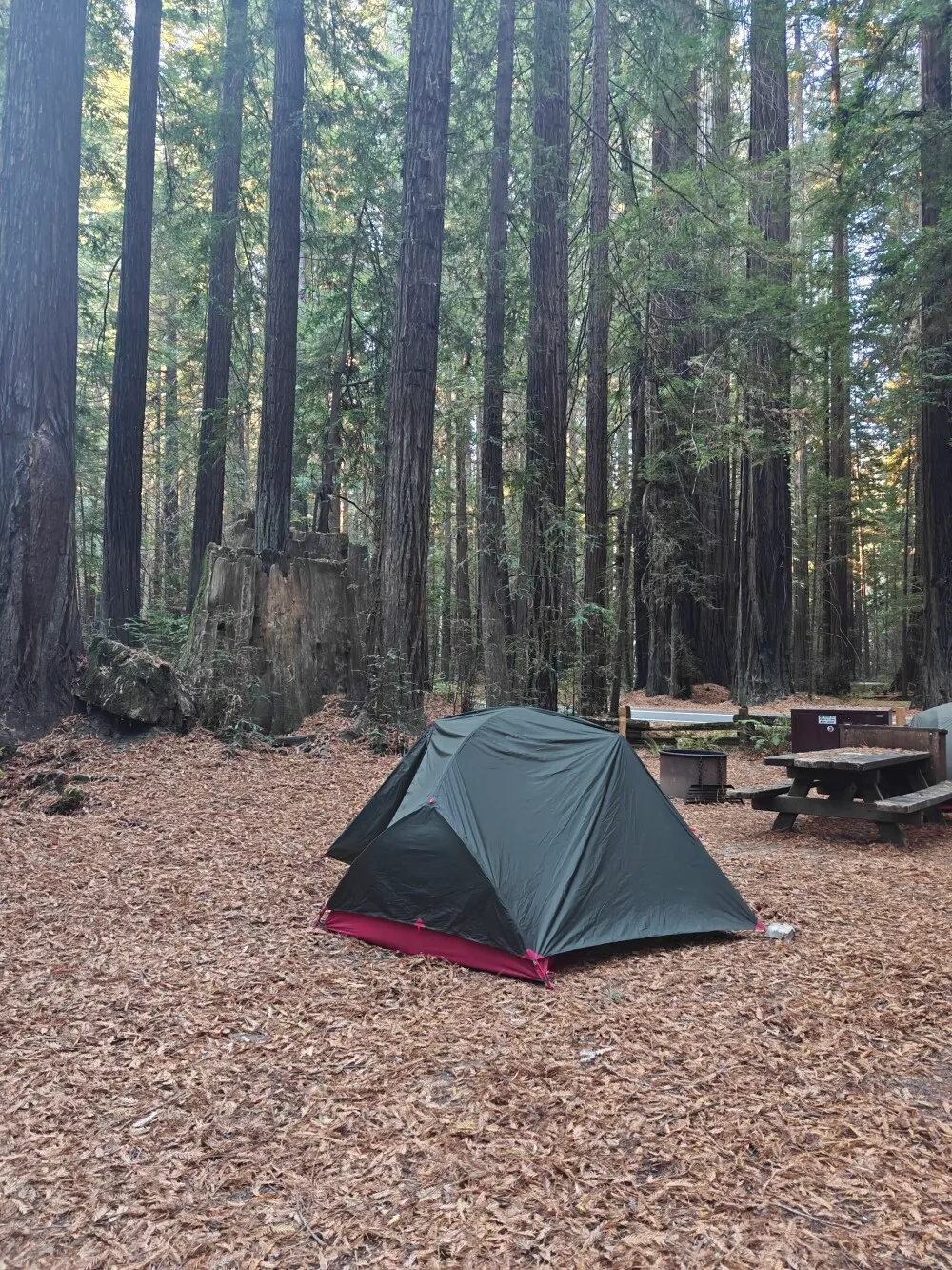 Camp for tonight