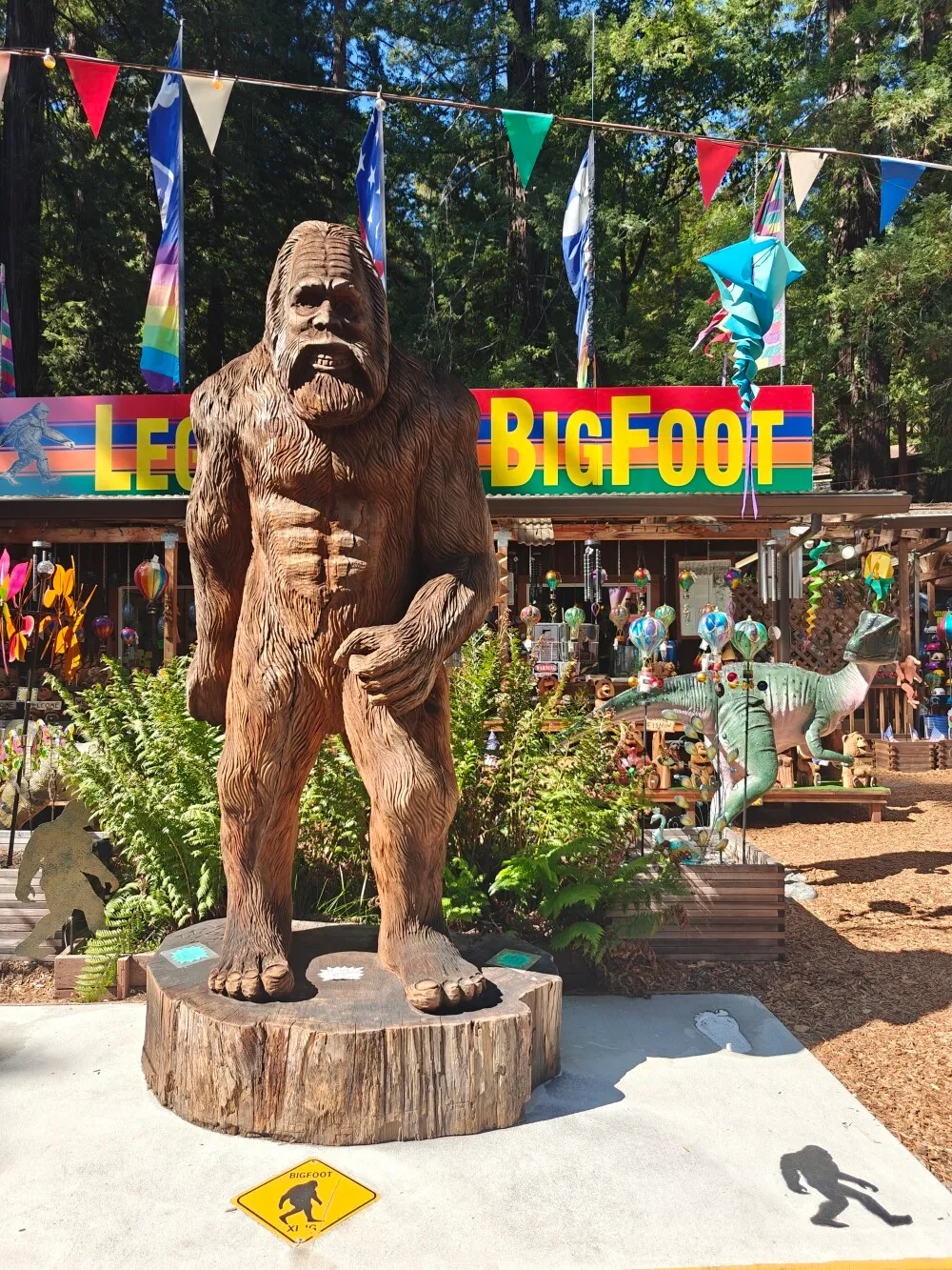 I found bigfoot