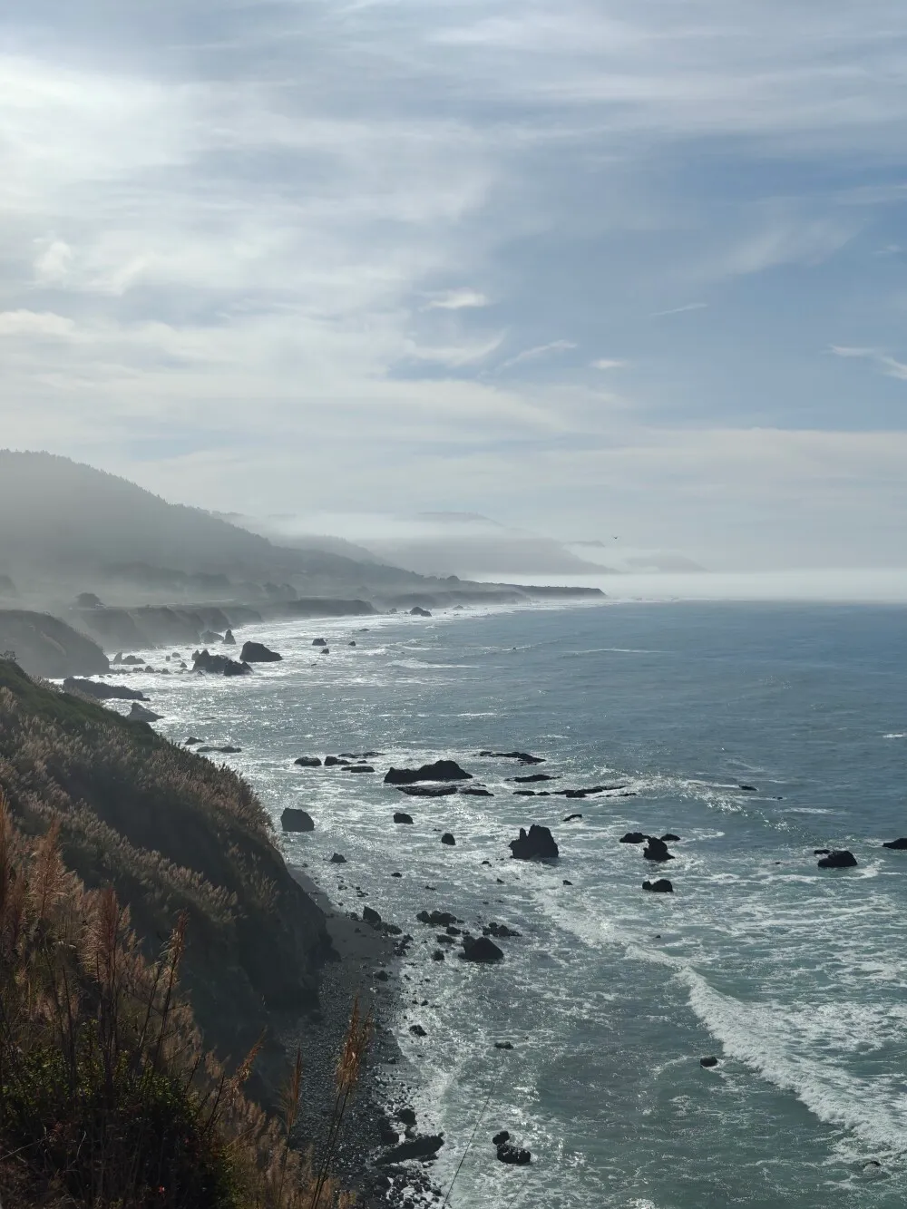 Back on the coast