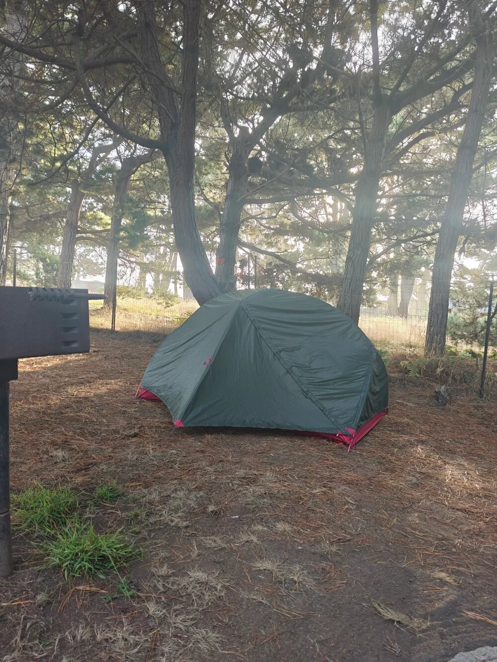 Camp