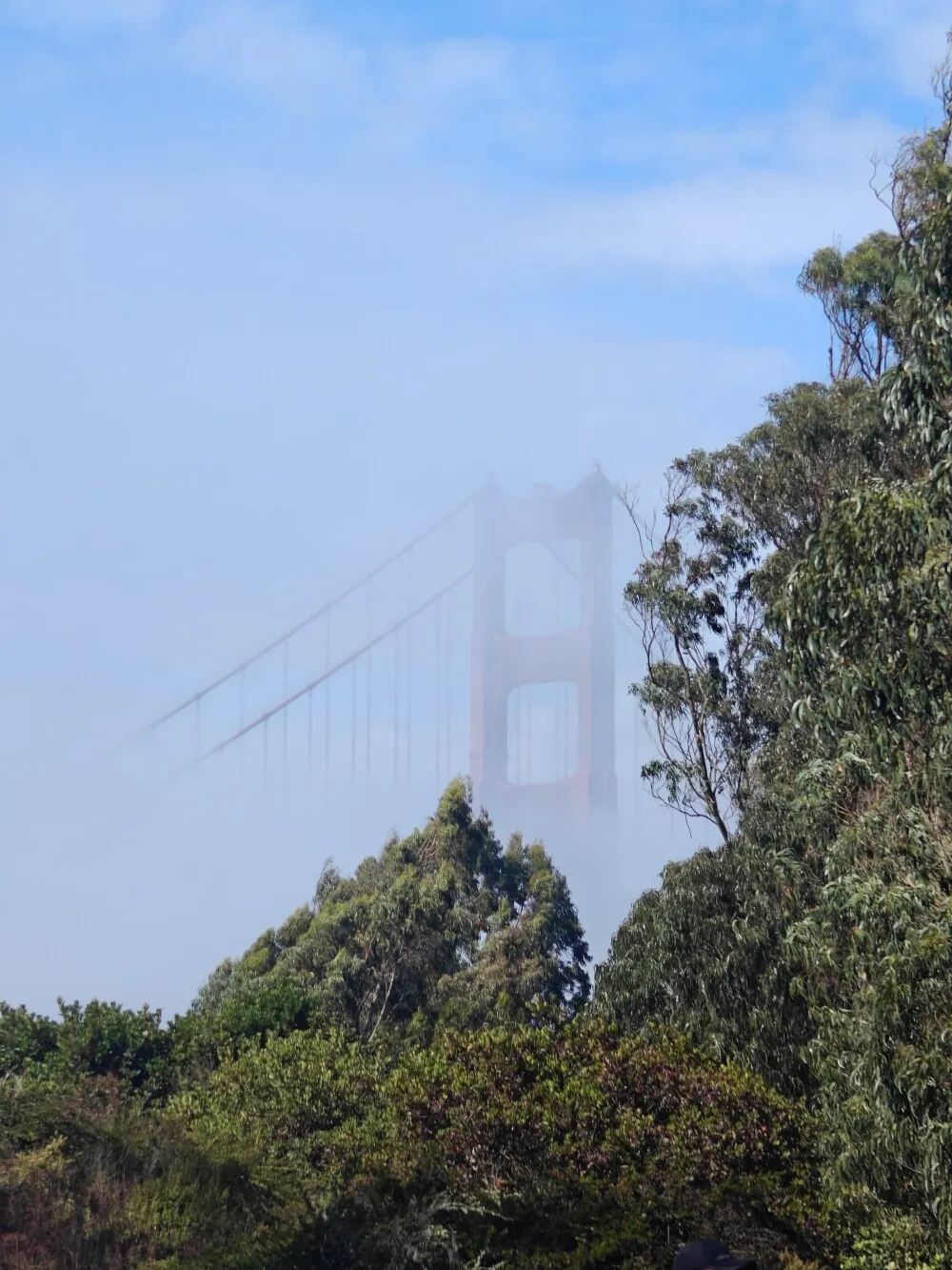 Golden Gate through the mist