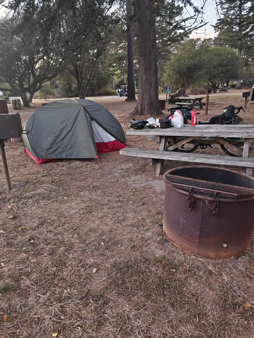 Camp for tonigh