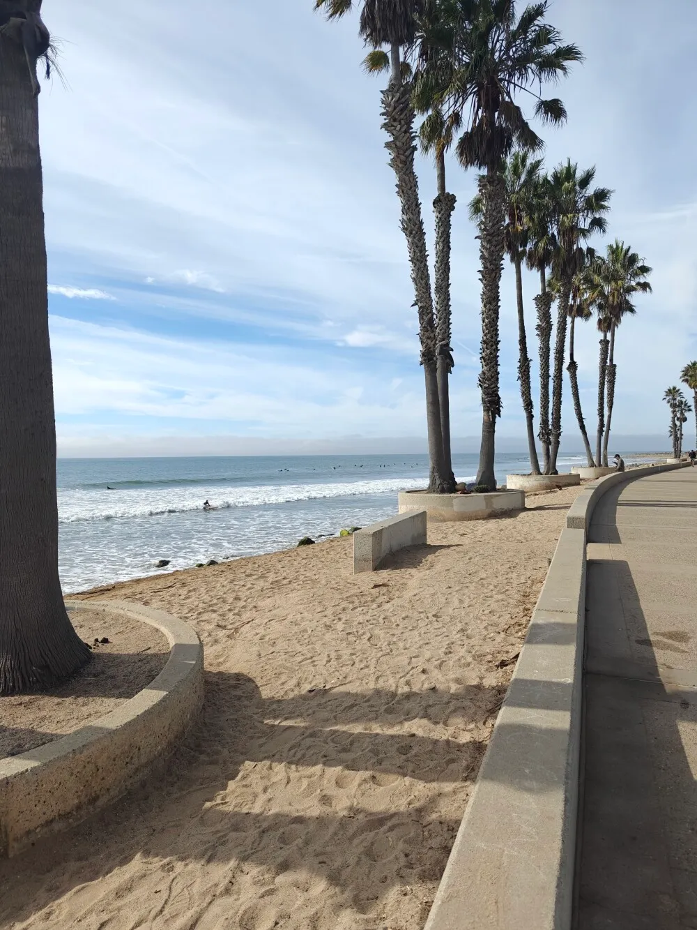 Surfer beaches all day today
