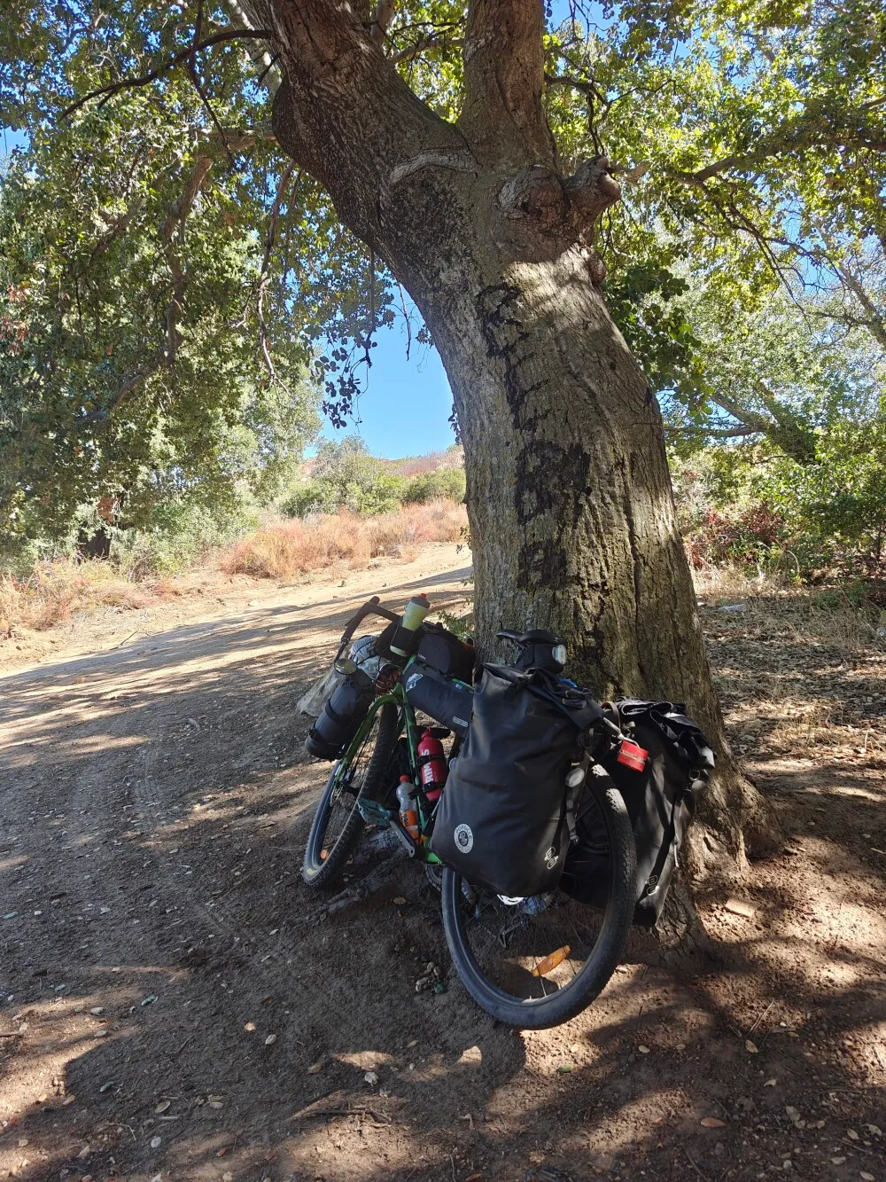 Such shady lunch spots are a treat!