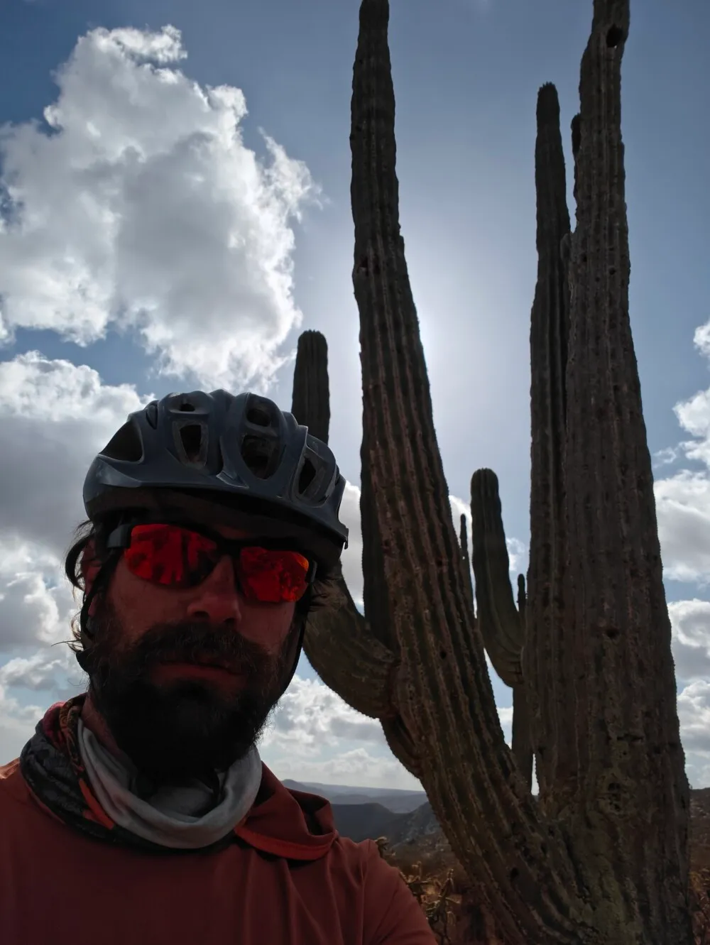 These cacti are getting big