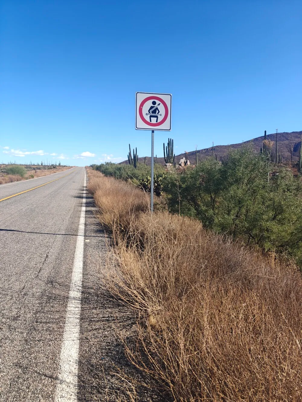 A real road with road marking and signs and everything. Didn´t have a seatbelt to put on tho.