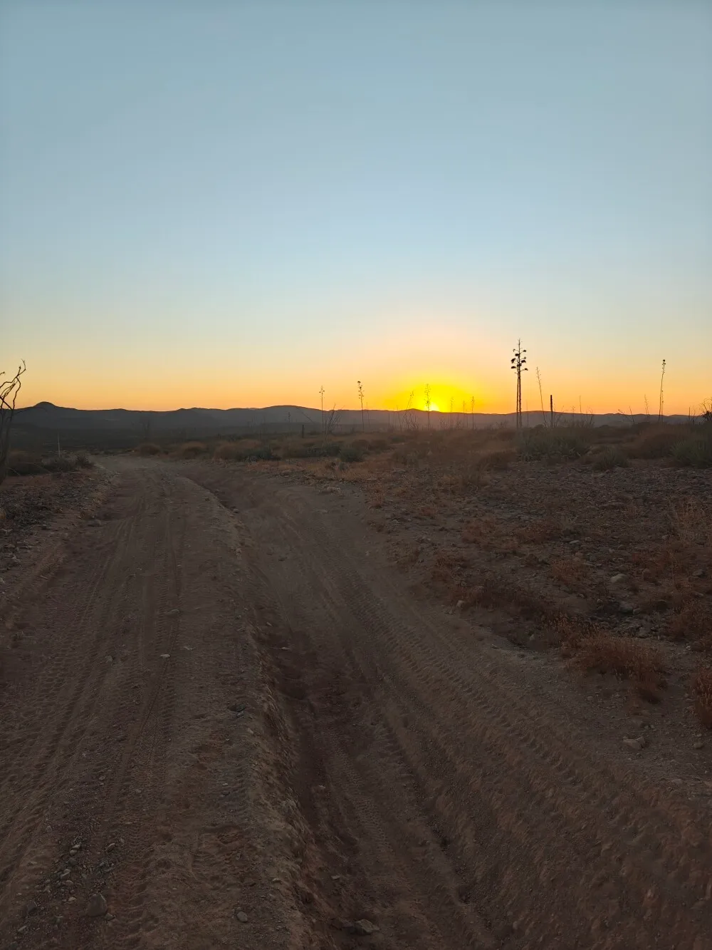 Sunset
