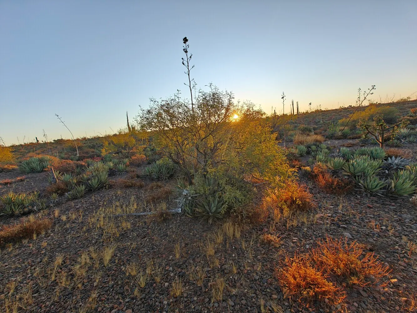 Sunrise at camp