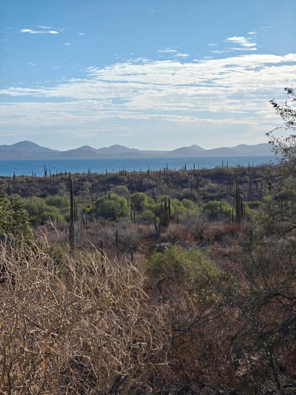 IMG20241201085457.jpg