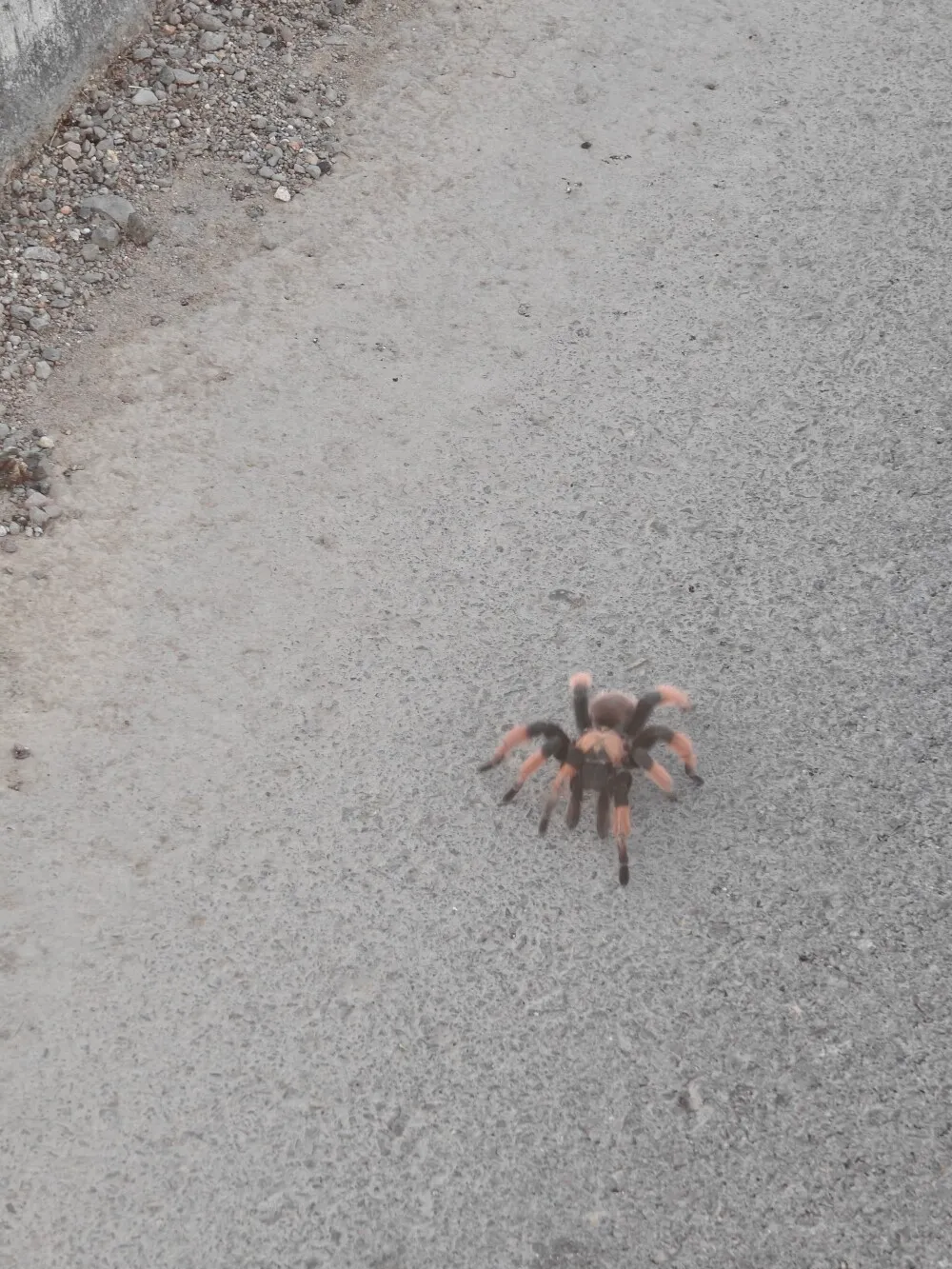 Great, a new phobia. That is all I need...