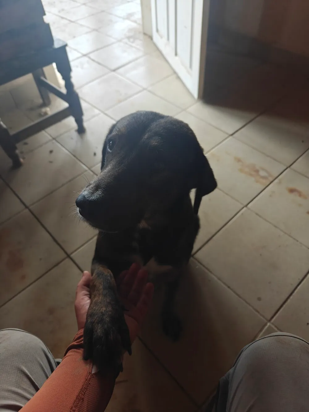 New Friend