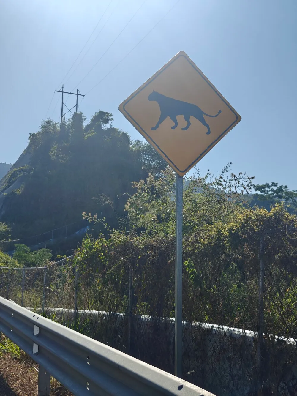 More signs... With animals getting bigger..