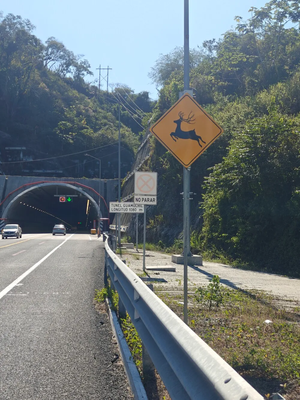 Thoughts signs were getting ridiculous now.