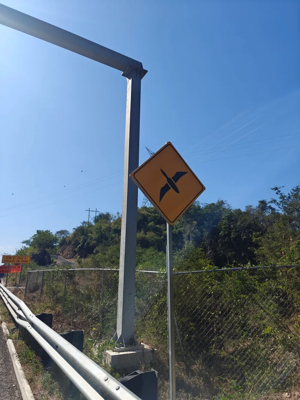 Birdy sign