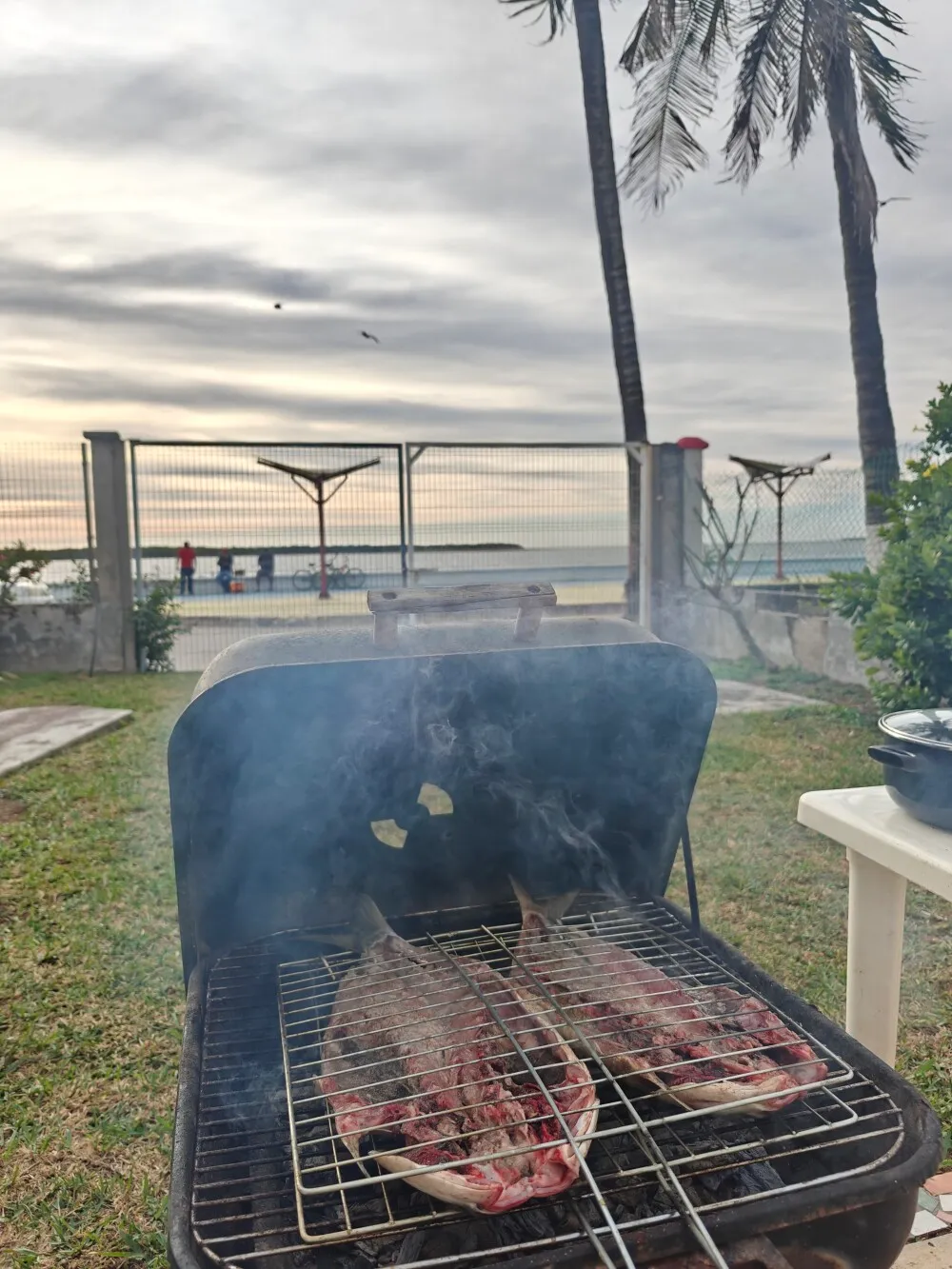 Fresh fish tacos