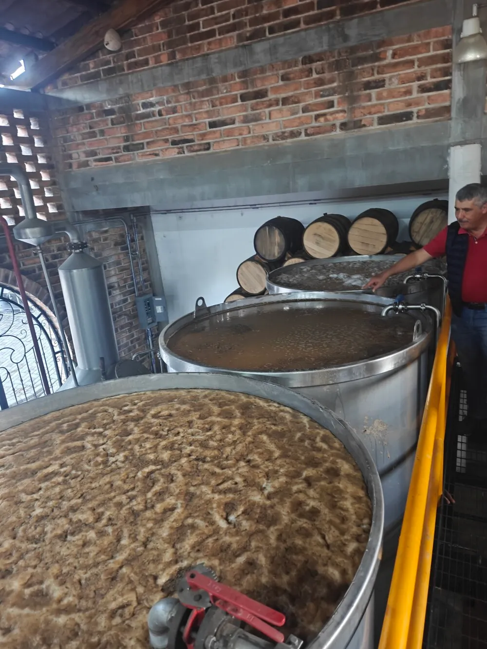 Fermentation