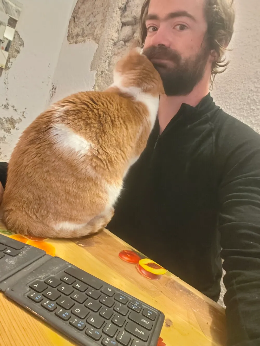 Anytime I tried to sit down to write, the hostel cat would protest. So you can blame the cat for me being so far behind on this journal.