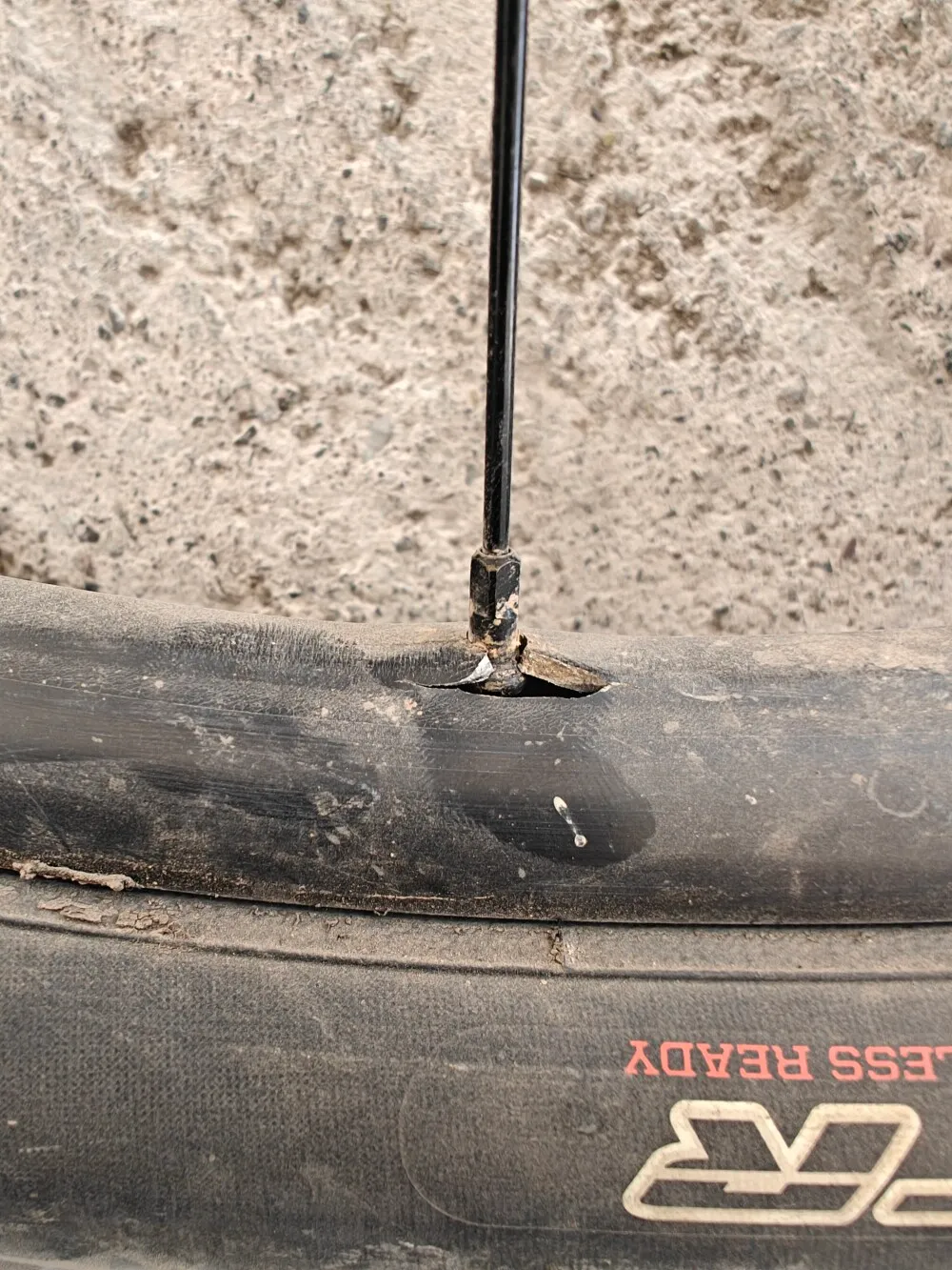 And another one. There were about 5 of them as well as at least 3 broken spokes...