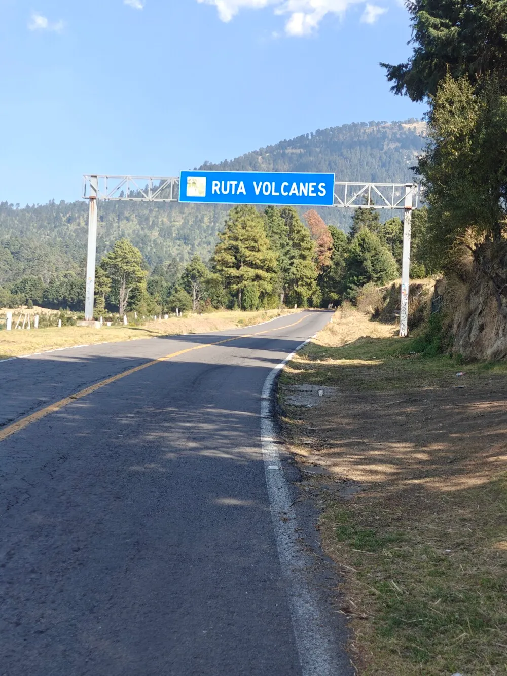 Ruta volanes