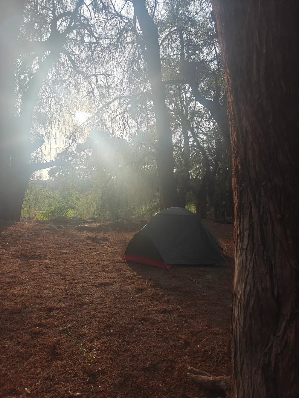 Camp for the night