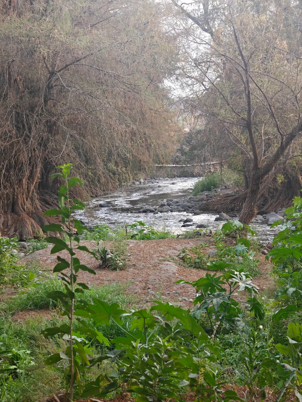 The river that I was tempted to try to cross