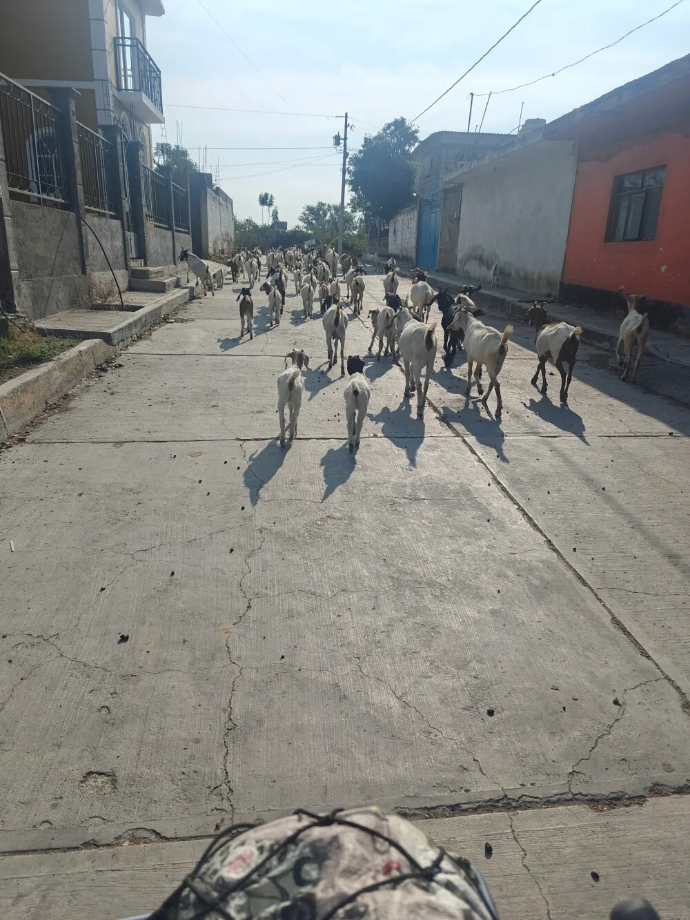 Traffic jam