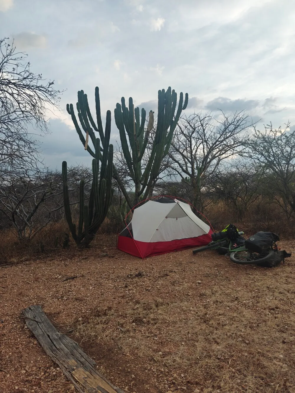 This is my awful camp spot under the cacti. Thought this was smart until the storm hit.