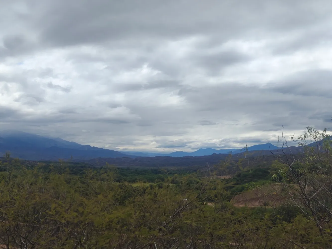 Views