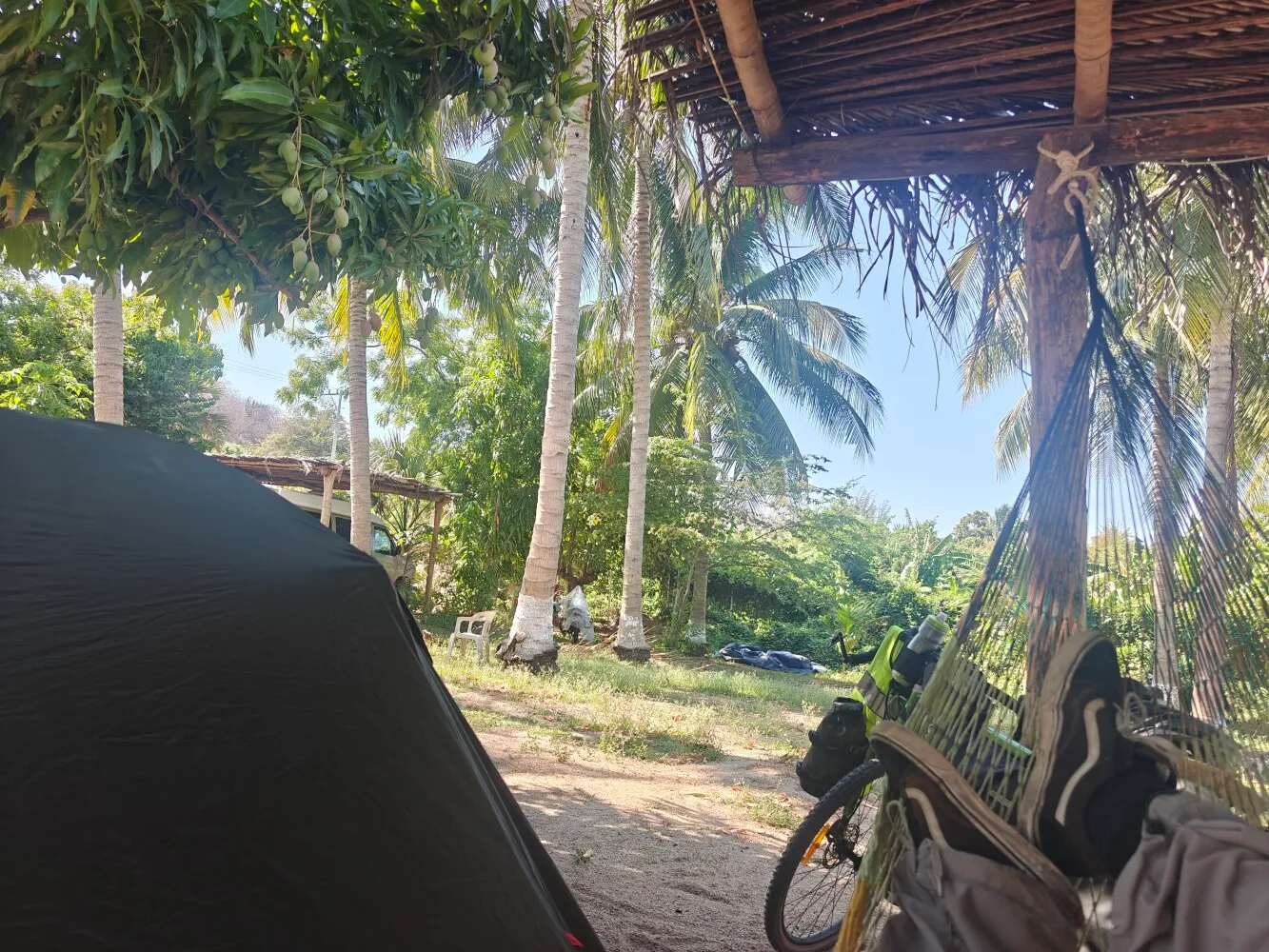 Camp for tonight