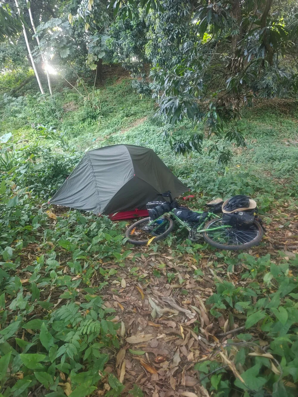 Camp spot