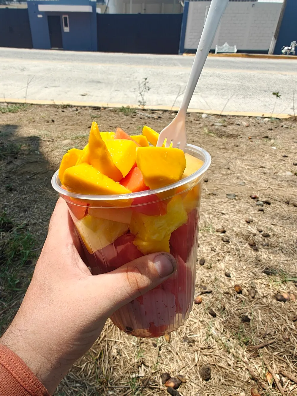 How am I only trying these now. Mix of fruit from a stall on the side of the road with a squeeze of lime and salt. Delicious.