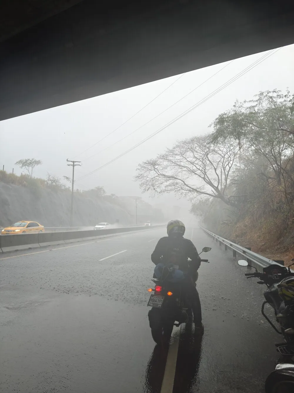 Taking small refuge under a bridge from the rain