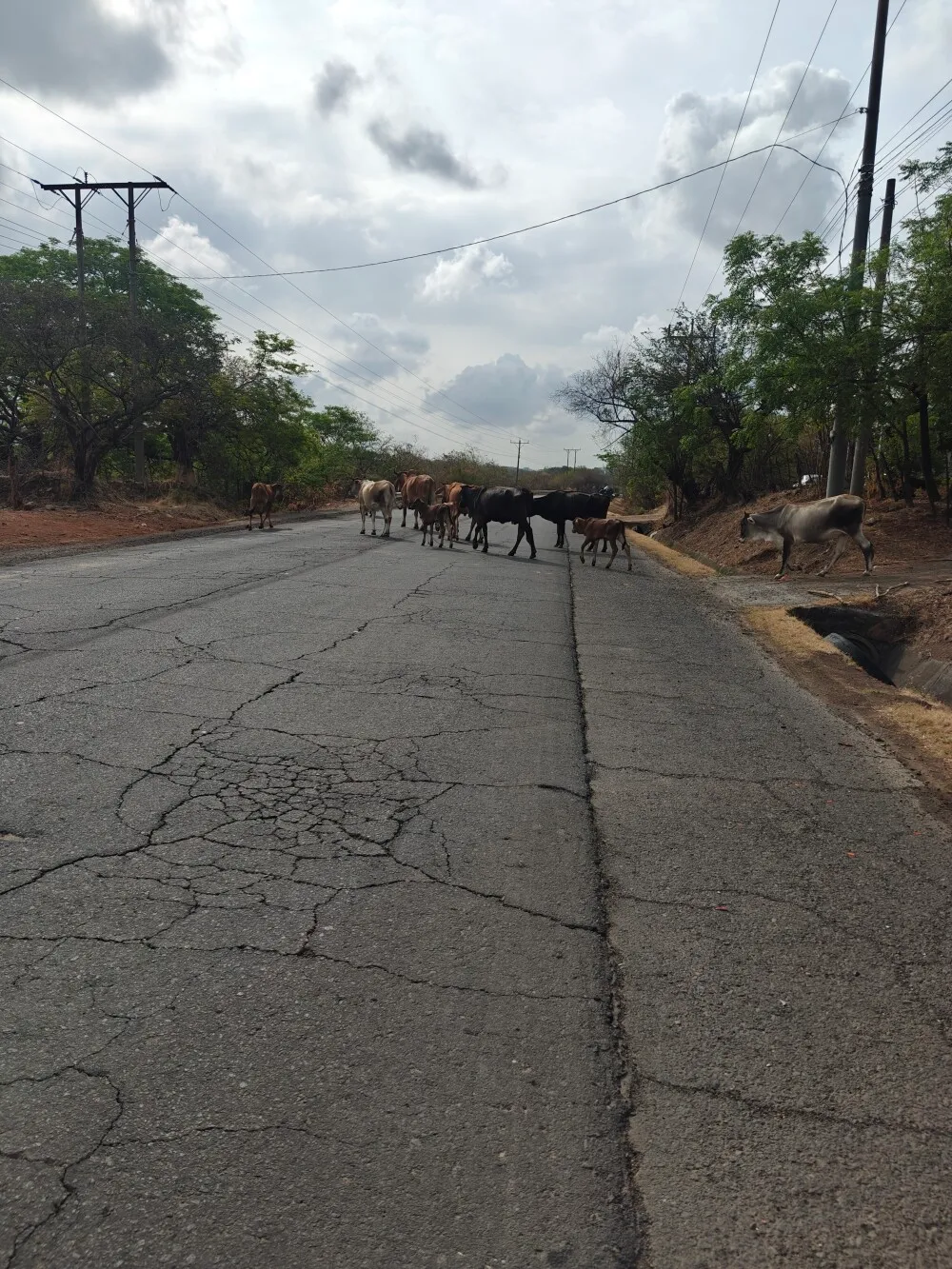 Traffic jam