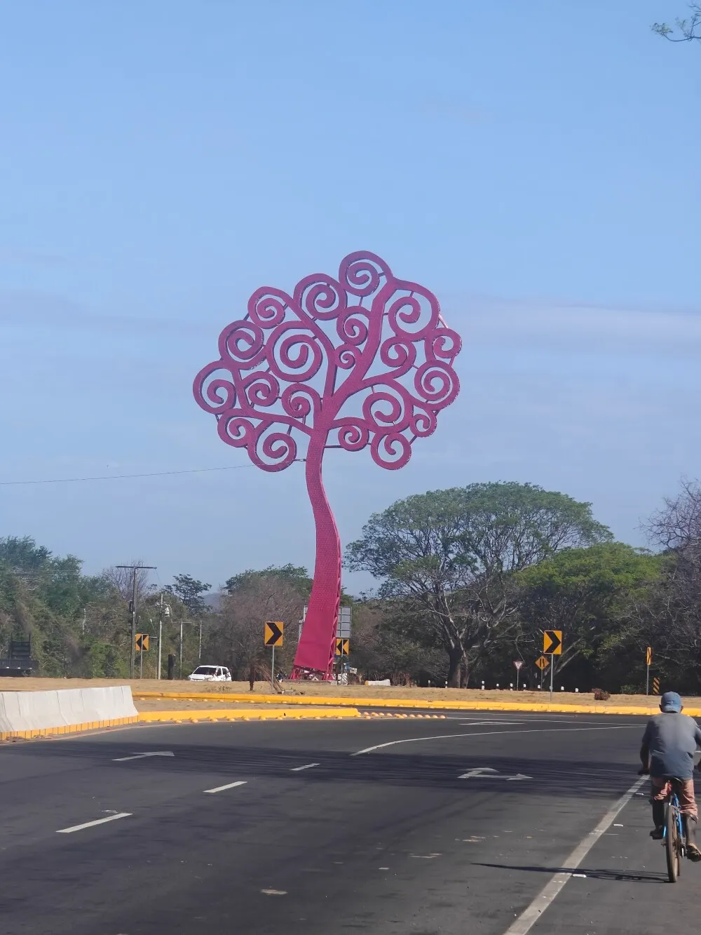 Lots of these metal trees in Nicaragua