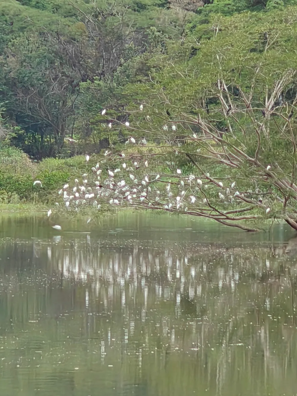 Lake